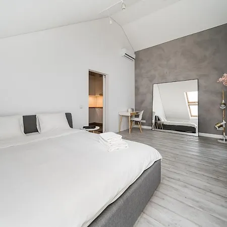 Modern 2-bedroom In Old Town/urban Rent Apartment *