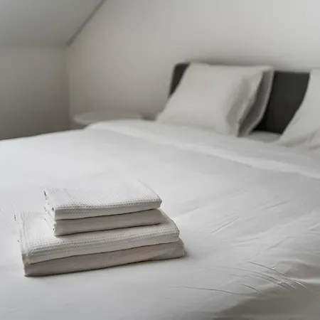 Modern 2-bedroom In Old Town/urban Rent Kaunas