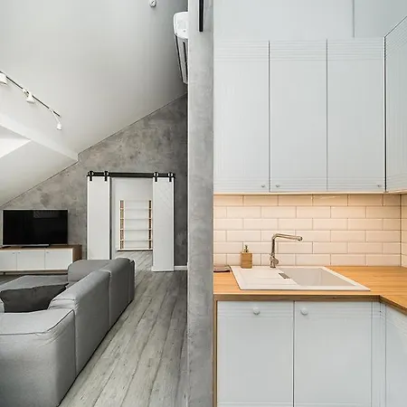 Modern 2-bedroom In Old Town/urban Rent *
